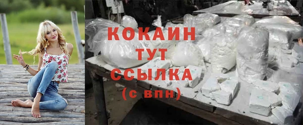 винт Аркадак