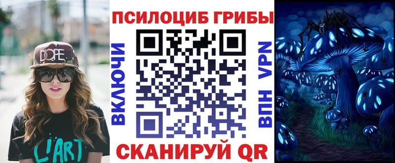 Псилоцибиновые грибы Psilocybine cubensis  Приозерск 
